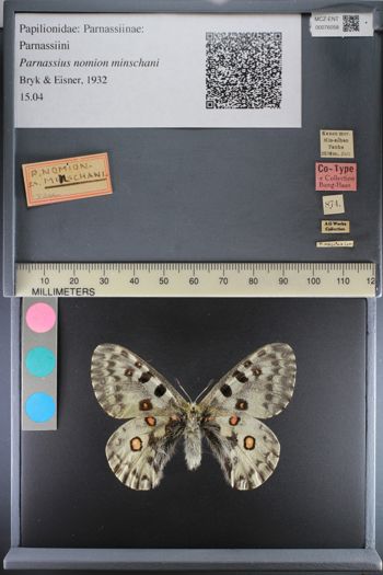 Media type: image;   Entomology 76058